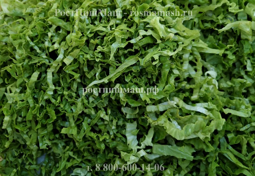 Нарезка зелени листьев салата