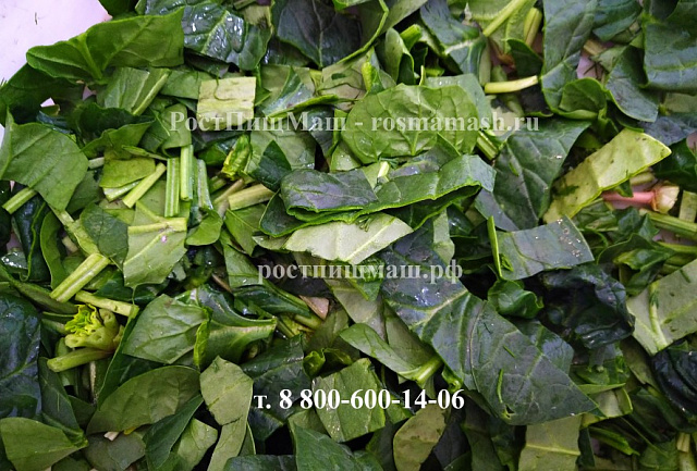 Промышленная овощерезка для шинковки- нарезки овощей и зелени  RY-80