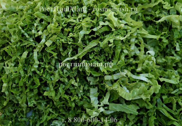 Промышленная овощерезка для шинковки- нарезки овощей и зелени  RY-80