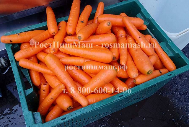 Видео мойки моркови на Машины щеточные для мойки и полировки корнеплодов GB с МЯГКИМИ ЩЕТКАМИ 