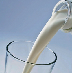  Молочное оборудование для переработки молока